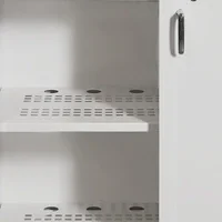 Hylla, perforerad, till JiWa BAT batteriskåp