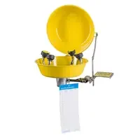 Ögon- och ansiktsdusch väggmodell